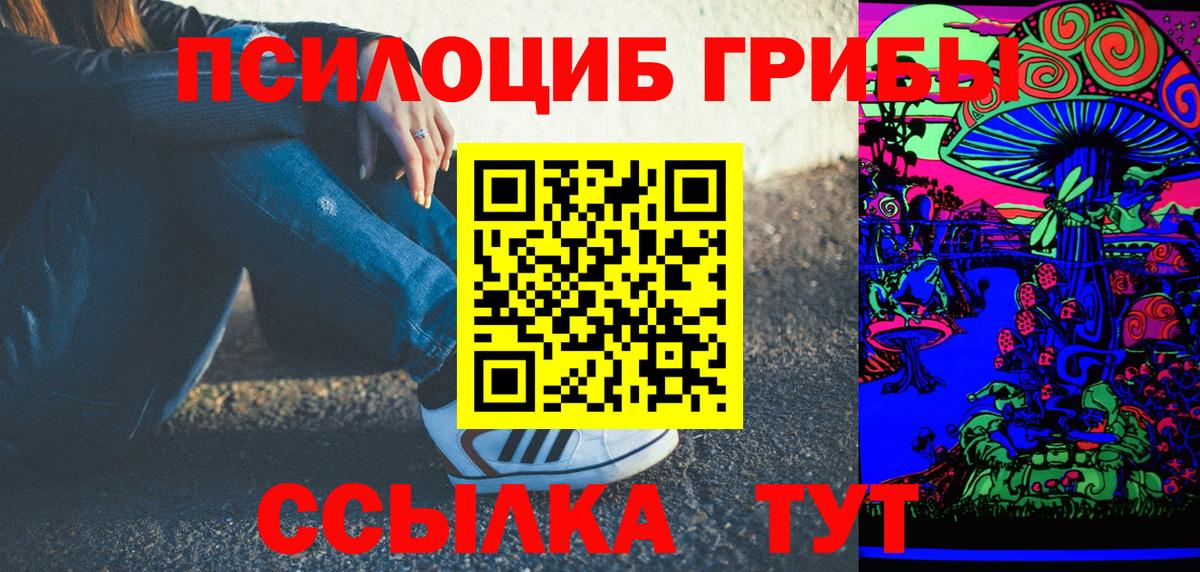 Галлюциногенные грибы Cubensis Коряжма