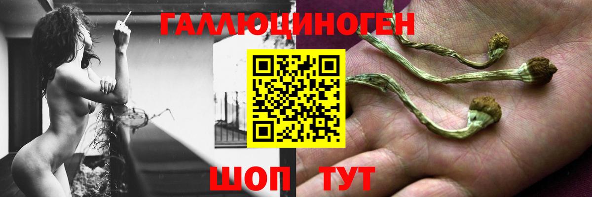 даркнет сайт  Псилоцибиновые грибы GOLDEN TEACHER  Вход с VPN  Коряжма  Галлюциногенные грибы мицелий 